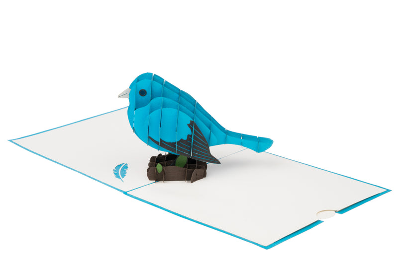Bird Pop Up Card