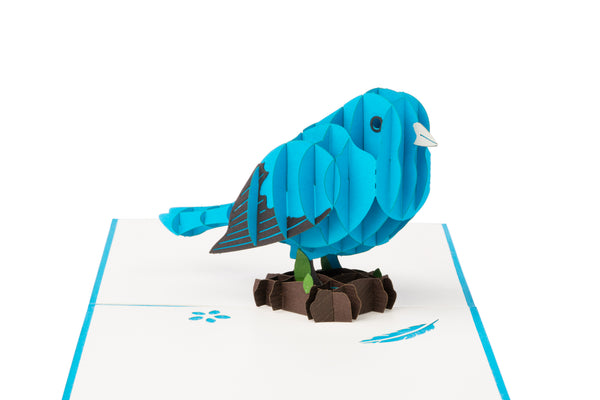 Bird Pop Up Card
