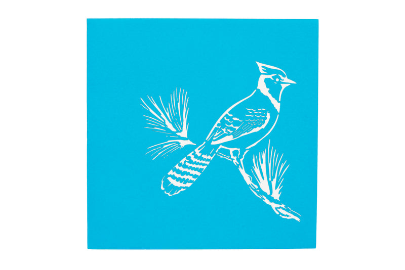 Bird Pop Up Card