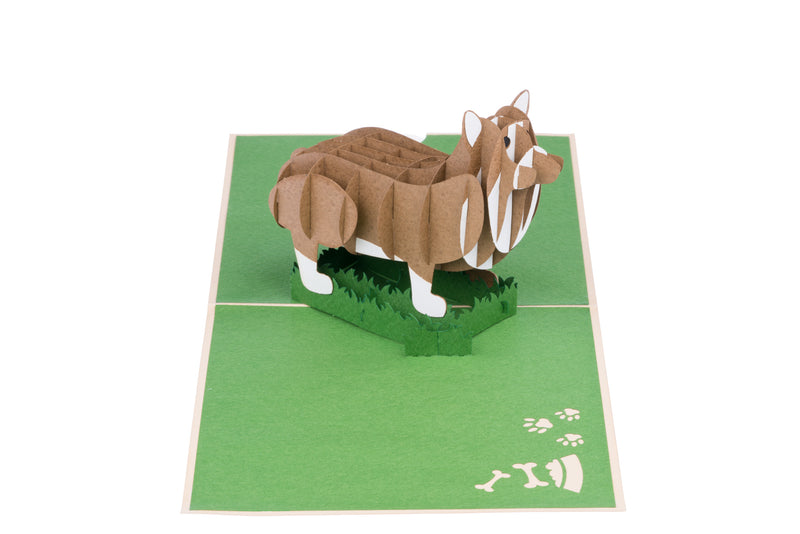 Corgi Dog Pop Up Card