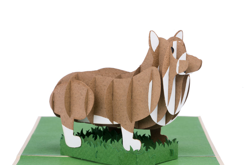 Corgi Dog Pop Up Card